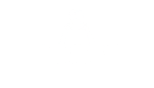 toast co. 2